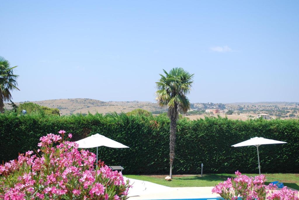 Villa Teresa San Corrado di Fuori Εξωτερικό φωτογραφία